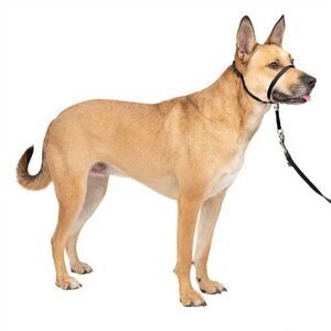 NWT PetSafe Gentle Leader Padded No Pull Dog‎ Headcollar Size M